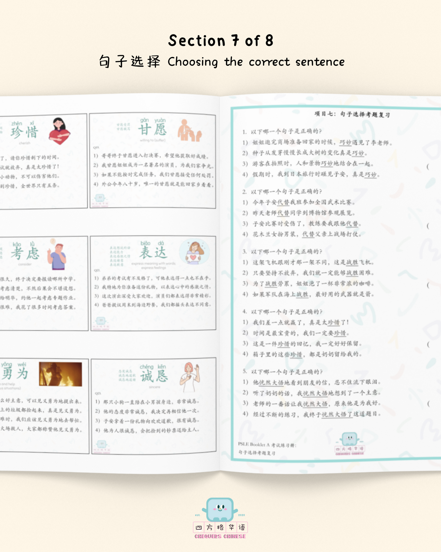 PSLE Chinese Booklet A Mastery Workbook (with conjunction cards) ONLY