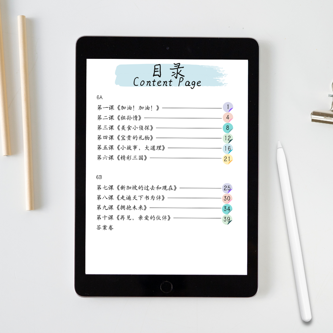 Pri 6 Word Combinations Standard Chinese Worksheet 六年级普通华文词语搭配练习卷 - 2nd edition(Digital document 电子文件)