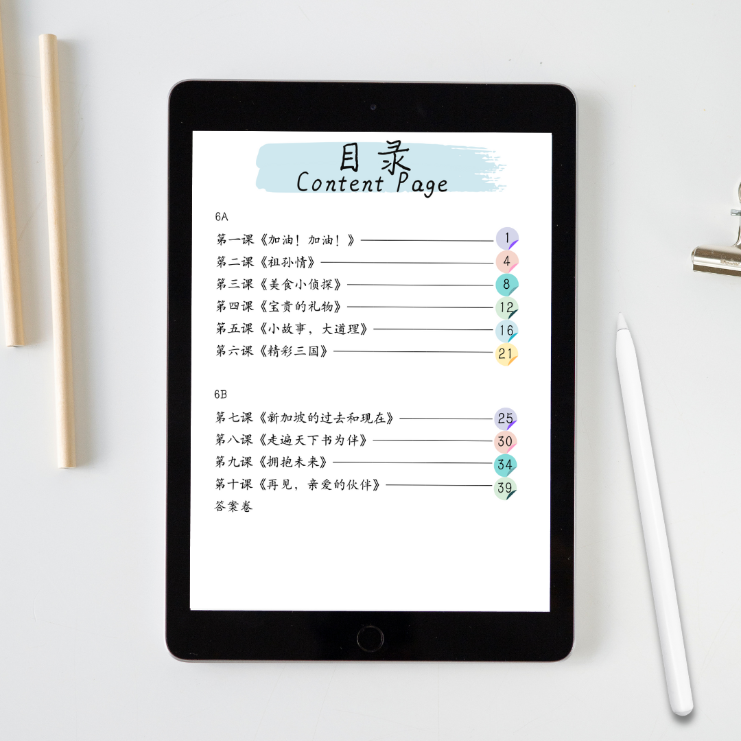 Pri 6 Word Combinations Standard Chinese Worksheet 六年级普通华文词语搭配练习卷 - 2nd edition（Digital document 电子文件）