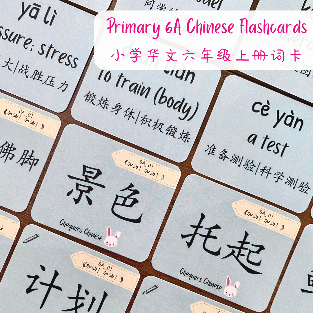 Pri 6A CheqCards 六年级上册词卡