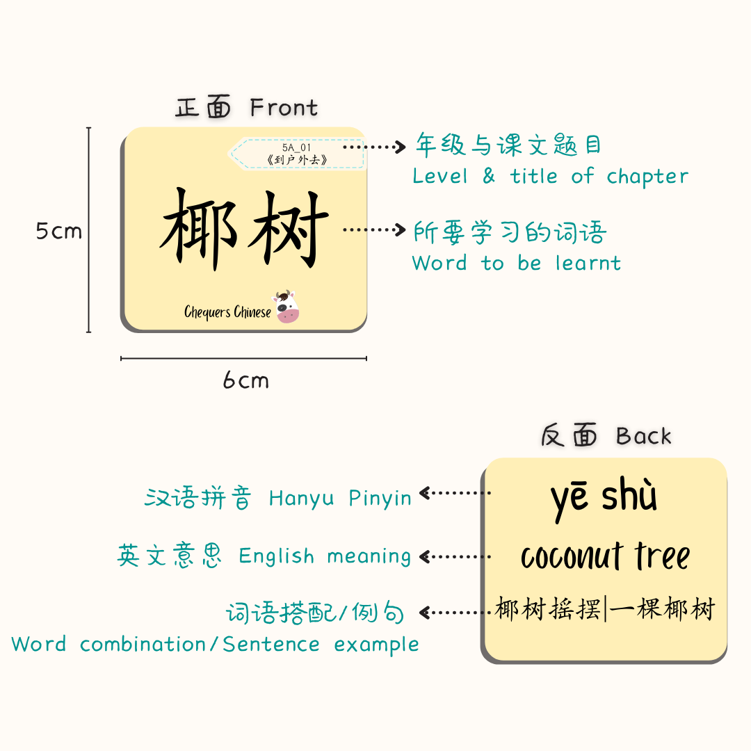 Pri 5B CheqCards 五年级下册词卡